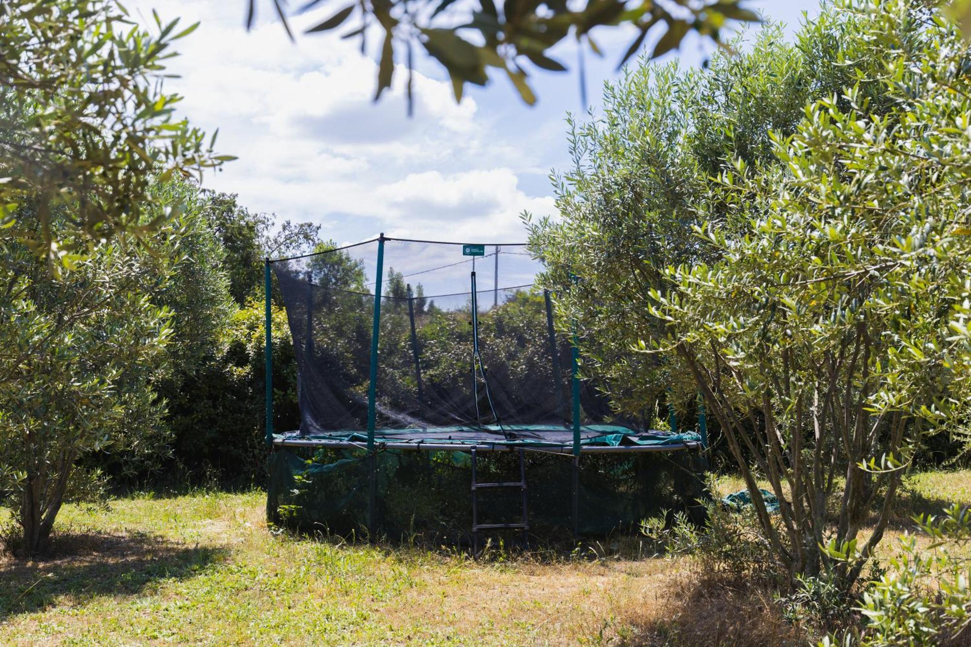 Petit Luberon Chez Manon En Luberon - Vacation In Lagnes